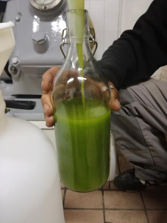 פייזולה Agriturismo Montereggi מראה חיצוני תמונה